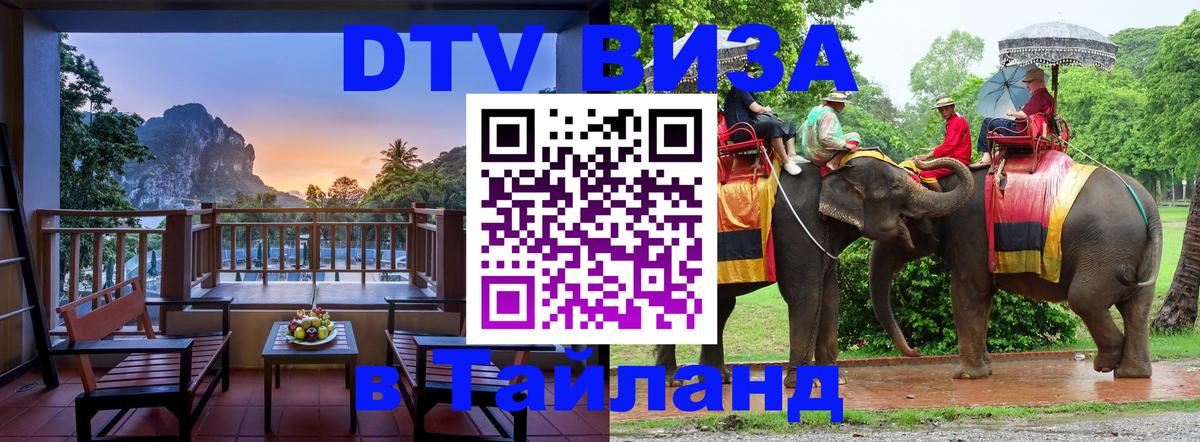 Сколько стоит виза DTV в Тайланд Кишинёв 